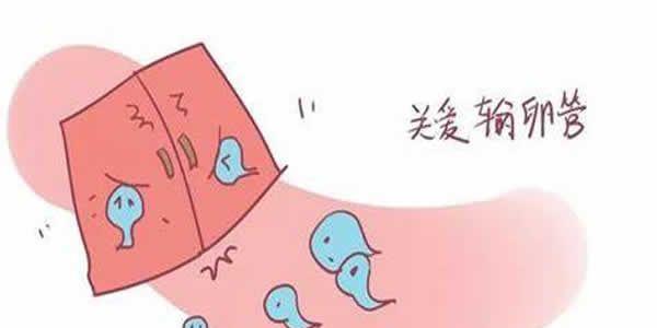 女性没有输卵管同样可以做试管婴儿当妈妈