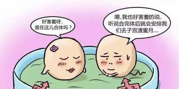 做试管婴儿到底要不要养囊