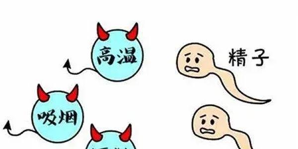 男性精索静脉曲张能做试管婴儿吗