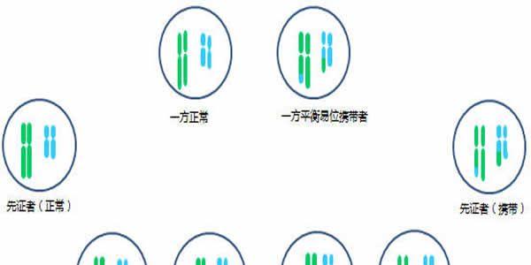 染色体平衡易位能做第三代试管婴儿吗-生殖科普
