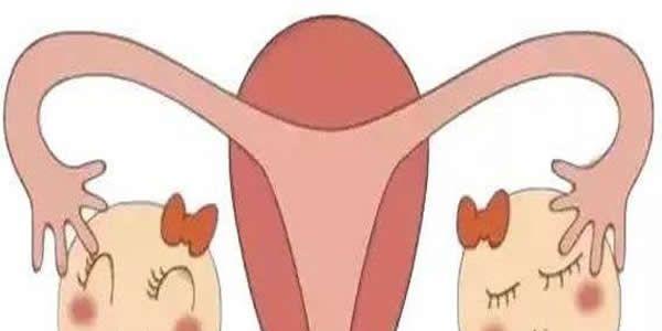 影响女性试管婴儿卵子质量的八大因素-快看看有没有踩雷