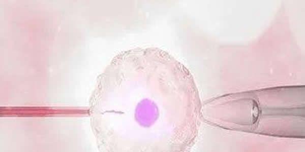 影响女性试管婴儿卵子质量的八大因素-快看看有没有踩雷