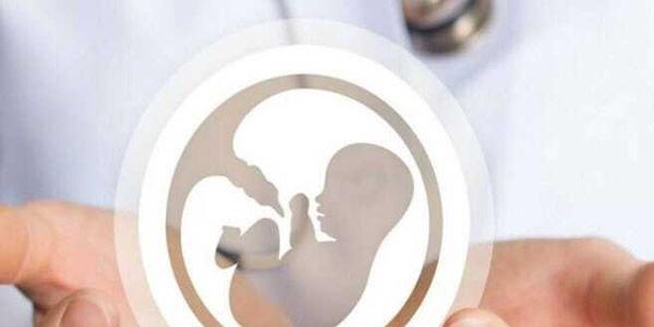 高龄妇女做试管婴儿需要培养囊胚吗