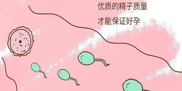 做试管婴儿对高龄产妇有些许影响但优势居多
