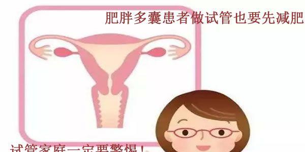 肥胖多囊患者做试管也要先减肥-试管家庭一定要警惕！