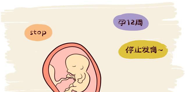 试管知识普及-试管婴儿移植后的黄体支持有什么用