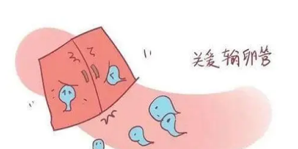 输卵管堵塞手术好还是试管婴儿好-两个方向进行分析
