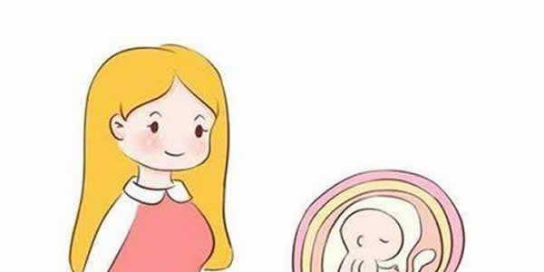 卵巢早衰子宫萎缩能试管婴儿试管婴儿吗