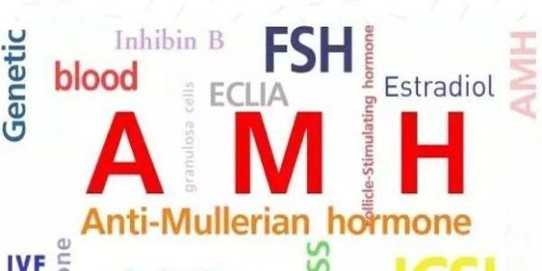 amh值是影响做试管婴儿成功的因素吗