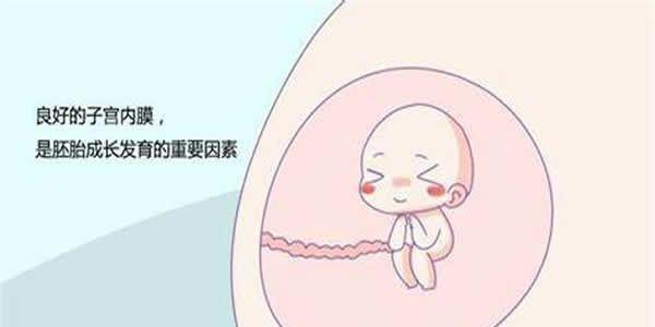 子宫内膜因素
