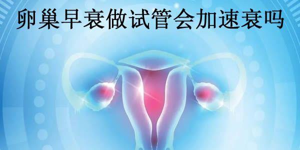 卵巢早衰做试管会加速衰吗