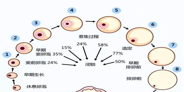 卵巢早衰做试管会加速衰吗