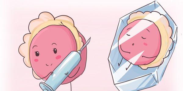 试管婴儿黄体期促排卵方案