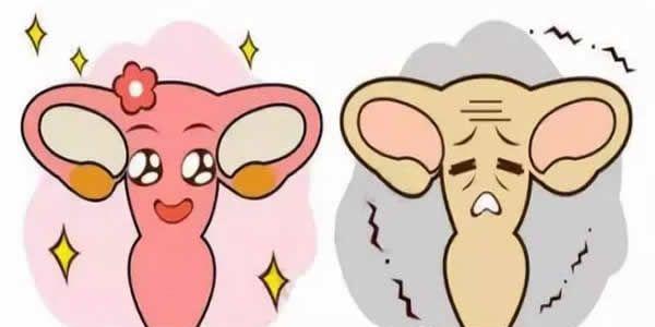 卵巢早衰.jpg