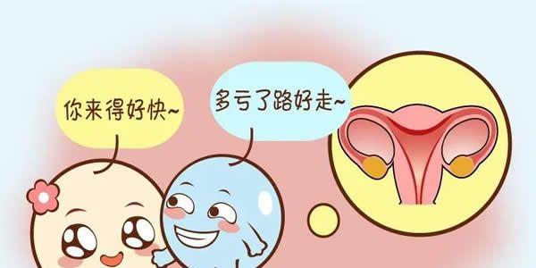 良好的子宫环境