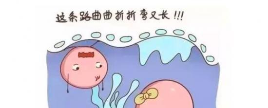 严重少精症还能做试管婴儿吗