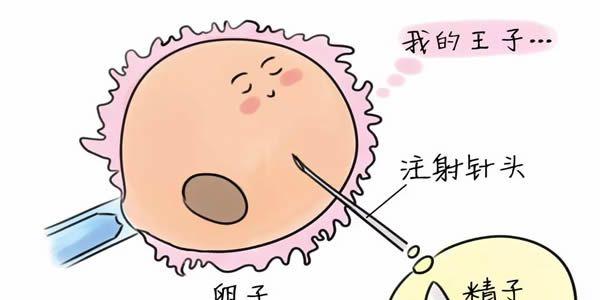 严重少精症还能做试管婴儿吗