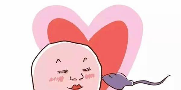 严重少精症还能做试管婴儿吗