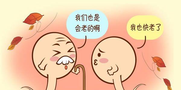 男性精子活力弱能做试管婴儿吗成功的几率高吗-科普