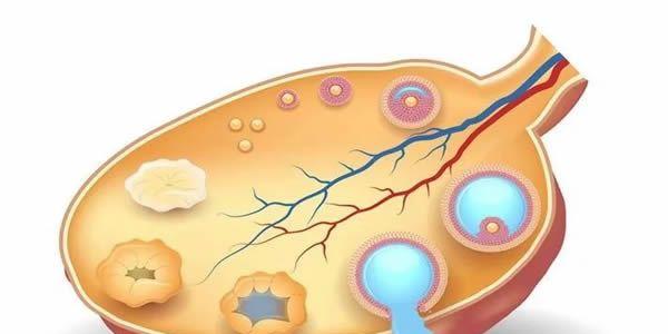 做试管婴儿促排时卵泡发育不成熟怎么办