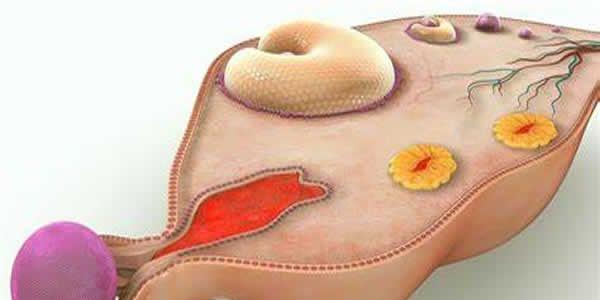 做试管婴儿促排时卵泡发育不成熟怎么办