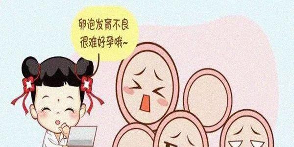 关于试管婴儿促排卵与卵泡监测的常识