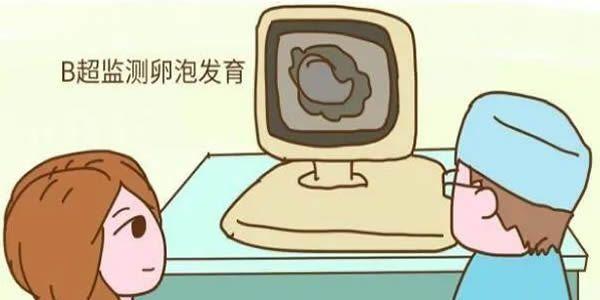卵泡不好的人能做试管吗