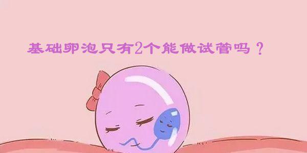 基础卵泡只有2个能做试管吗