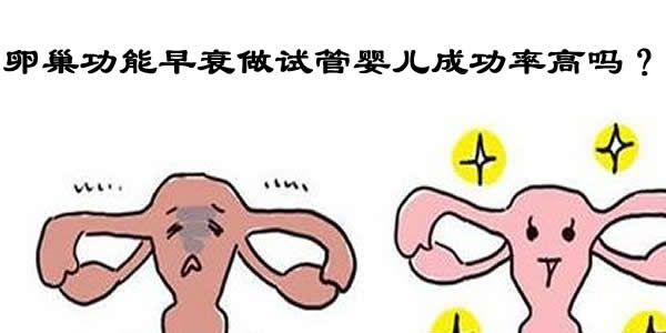 卵巢功能早衰做<a style='border-bottom:1px dashed #F00;color:#3a7fde;cursor:pointer;' href='https://www.yi-yun-tong.com/article-2828.html  '>试管婴儿成功率</a>高吗