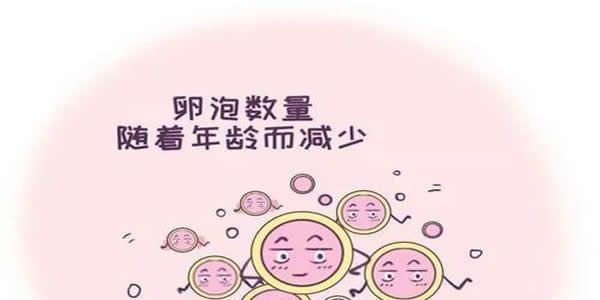 卵巢功能早衰做试管婴儿成功率高吗
