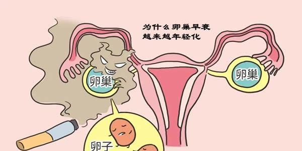为什么卵巢早衰越来越年轻化