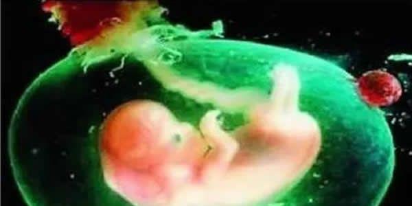 为什么囊胚移植后不着床？囊胚移植后不着床的原因分析