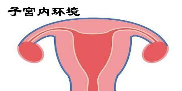 做试管婴儿移植前怎么调理子宫