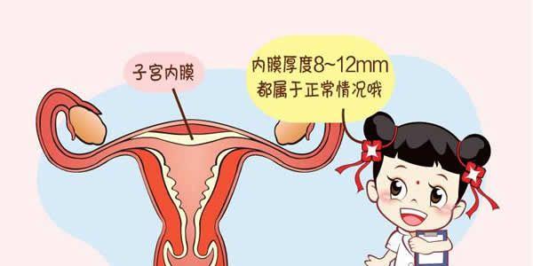 子宫内膜正常厚度