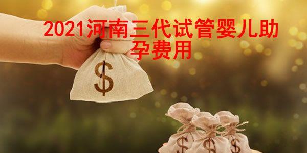 2021年河南三代试管婴儿助孕费用一览表