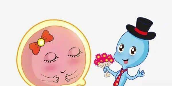 没有卵子的可以做试管吗