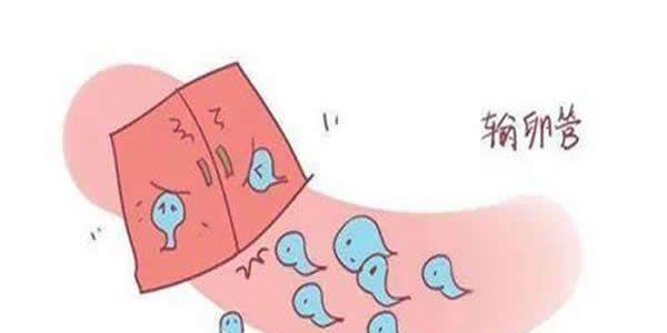 各种疾病导致不孕症