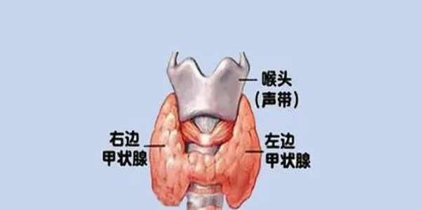 甲状腺有问题会影响怀孕吗