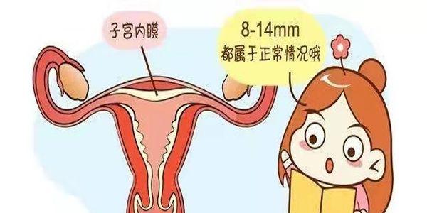子宫内膜薄影响<a style='border-bottom:1px dashed #F00;color:#3a7fde;cursor:pointer;' href='https://www.yi-yun-tong.com/article-2828.html  '>试管婴儿成功率</a>吗