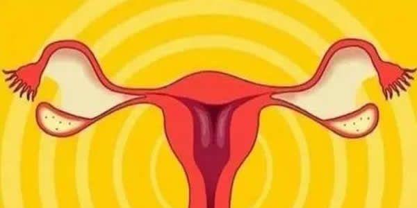 子宫内膜增生可以做试管婴儿吗