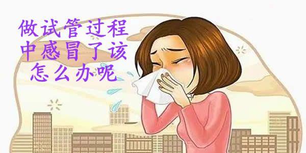做试管过程中感冒了该怎么办呢