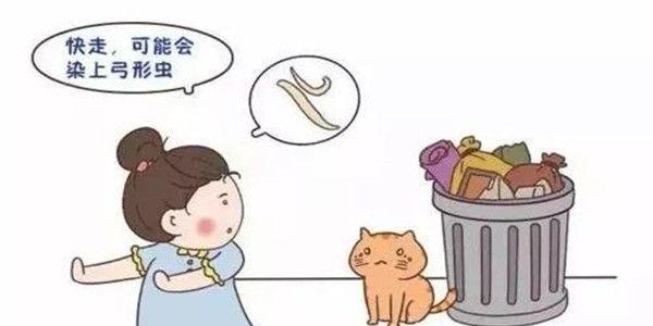 怀孕期间还可以养宠物吗 ？孕期养宠物注意事项