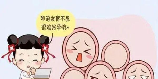 卵泡发育不良对怀孕的影响  