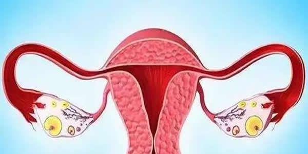 没有卵巢可以做试管婴儿吗 女性没有卵巢还能生孩子吗