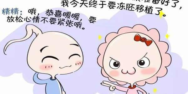 试管婴儿冻胚移植3-5着床