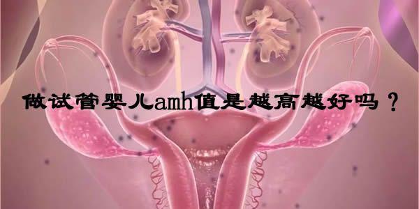做试管婴儿amh值是越高越好吗？