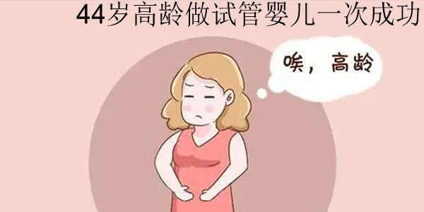44岁高龄做试管婴儿一次成功-我的经验记录与案例分享