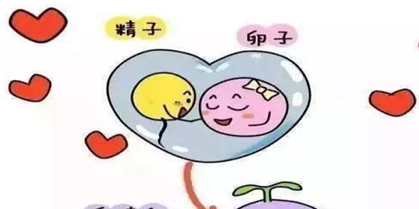 专家口述精子畸形率93%导致受孕率低的5大解决办法
