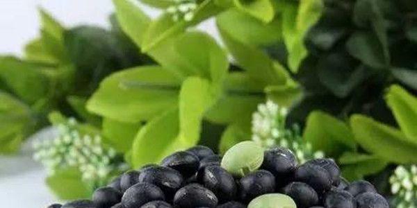 盘点—生活中对怀孕有好处的食物