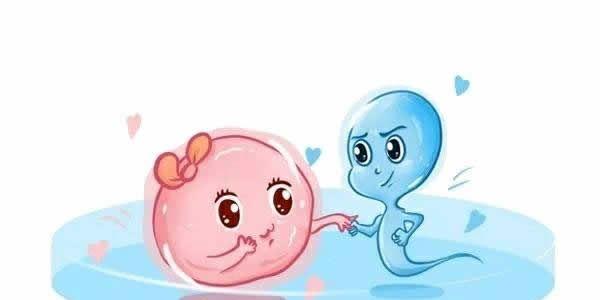 src=http___pic09.babytreeimg.com_2020_0608_Fie71qx4HCXcj3kGPY8FBK6DacVH_mb.jpg&refer=http___pic09.babytreeimg.jpg